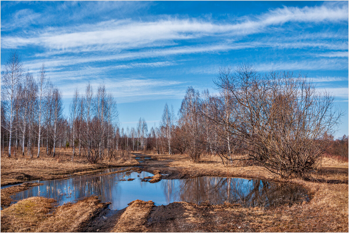 Весеннее небо в весенних лужах - Алексей Мезенцев