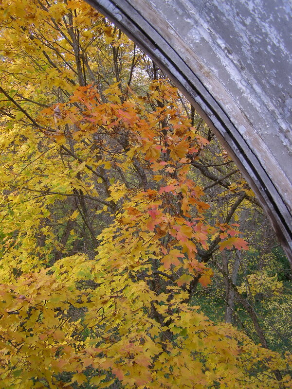 Усадьба в Муромцево. Вид из окна - Николай ntv Усадьба в Муромцево. Вид из окна - Николай ntv