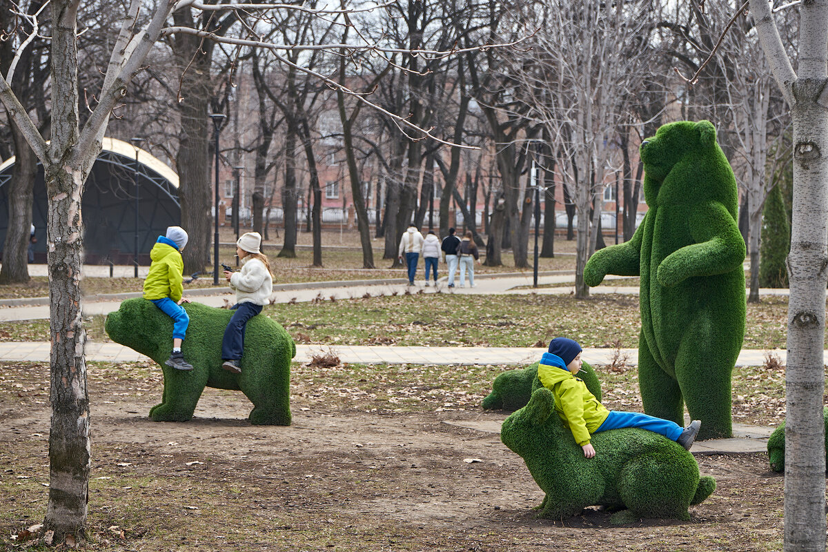 Картина маслом почти, как у Шишкина - Олег Манаенков Картина маслом почти, как у Шишкина - Олег Манаенков