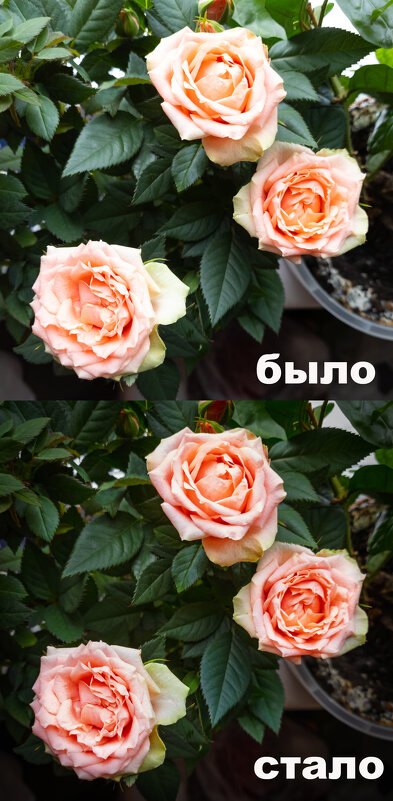 Обработка. - Борис Калитенко