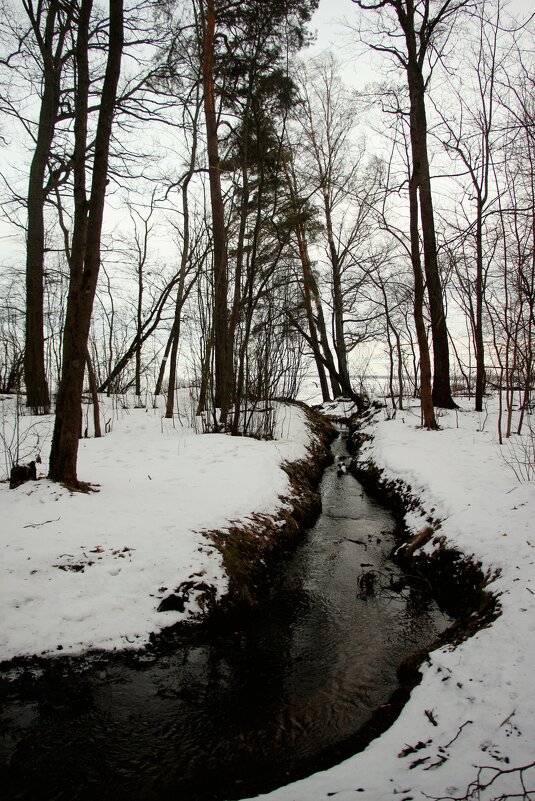 Зеленогорск - Наталья Герасимова