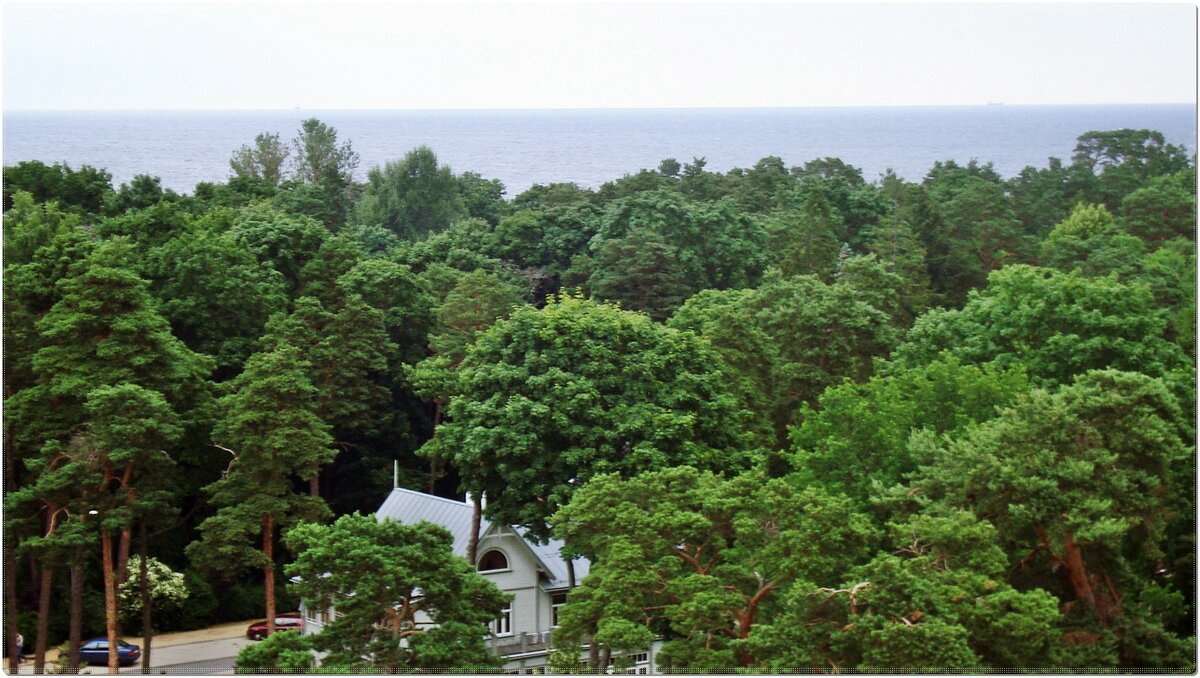 природа - марта Камушкина