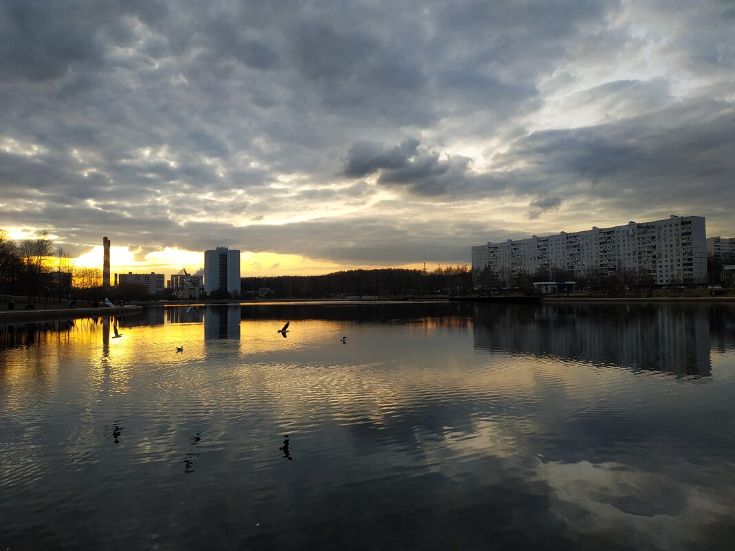 Вариации на тему одного с позолотой вечера на городском пруду. Не проезжать же было  мимо - Андрей Лукьянов