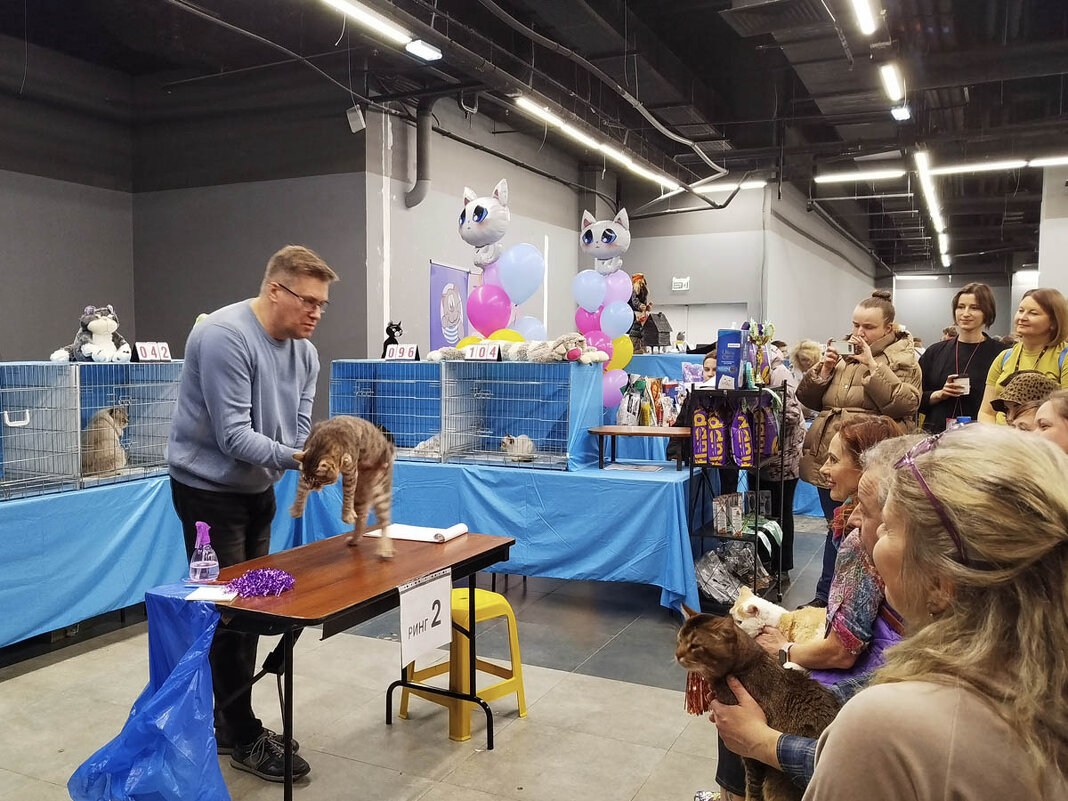 ГАГАРИНСКИЕ_КОШКИ_15 - Сергей Янович Микк