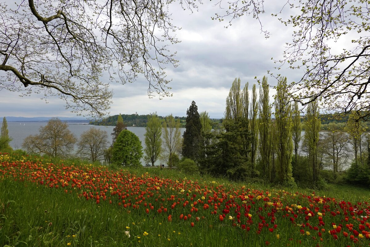 Боденское озеро, остров цветов Майнау... - Галина 