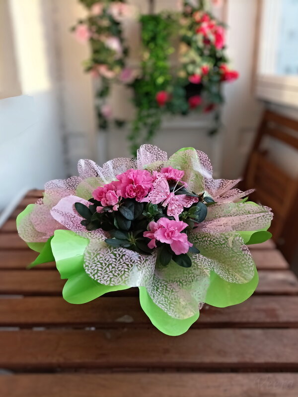 Мартовский букет - Veera V Мартовский букет - Veera V