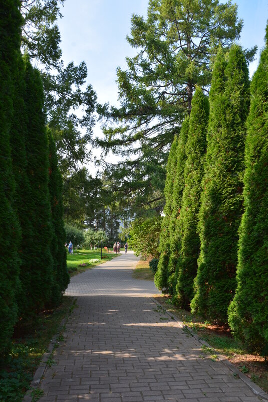 в монастыре - Галина R...