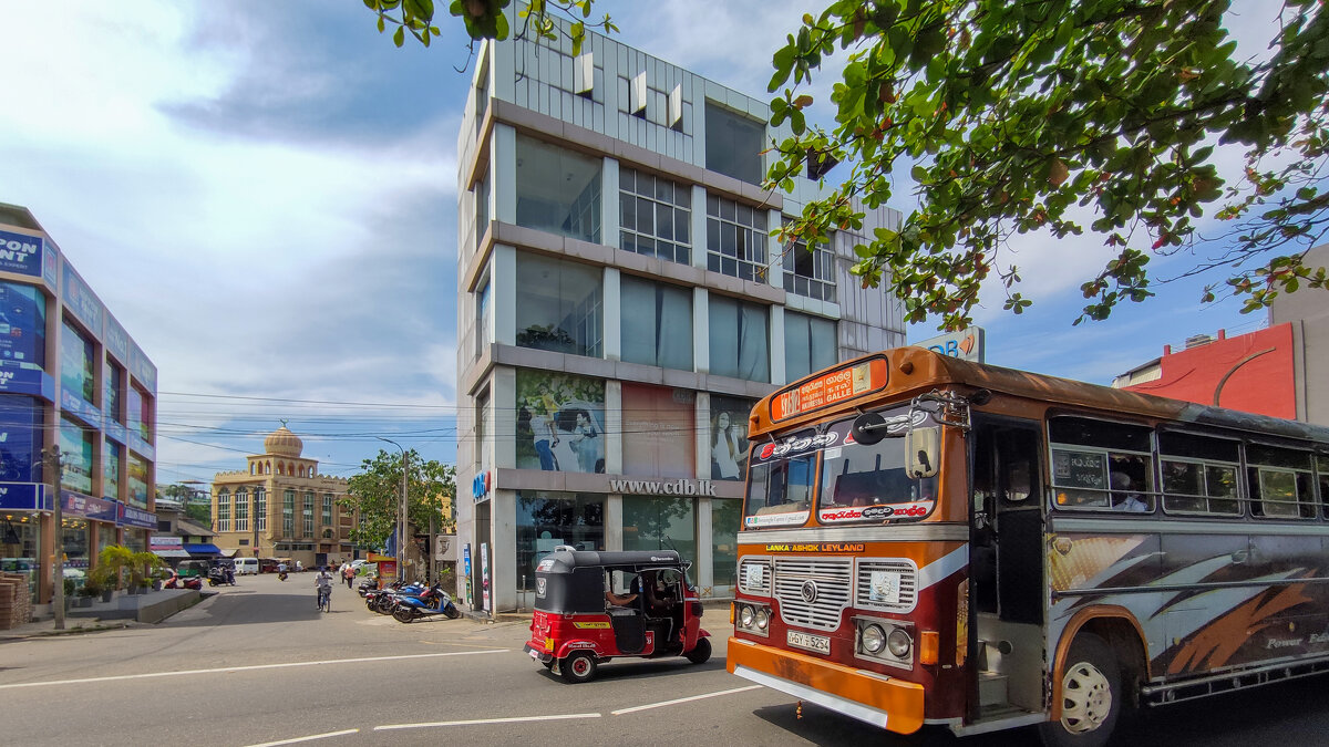 Шри-Ланка - Dmitry i Mary S