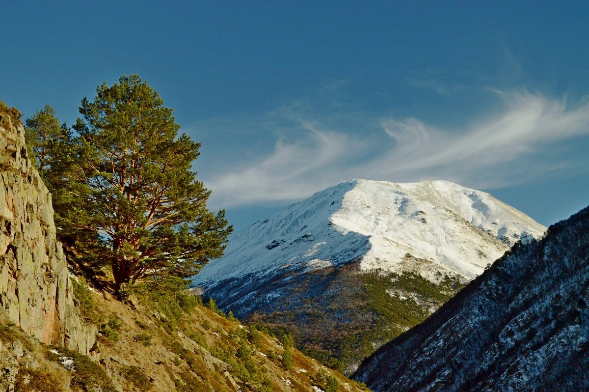Солнечно....... - Юрий Цыплятников Солнечно....... - Юрий Цыплятников