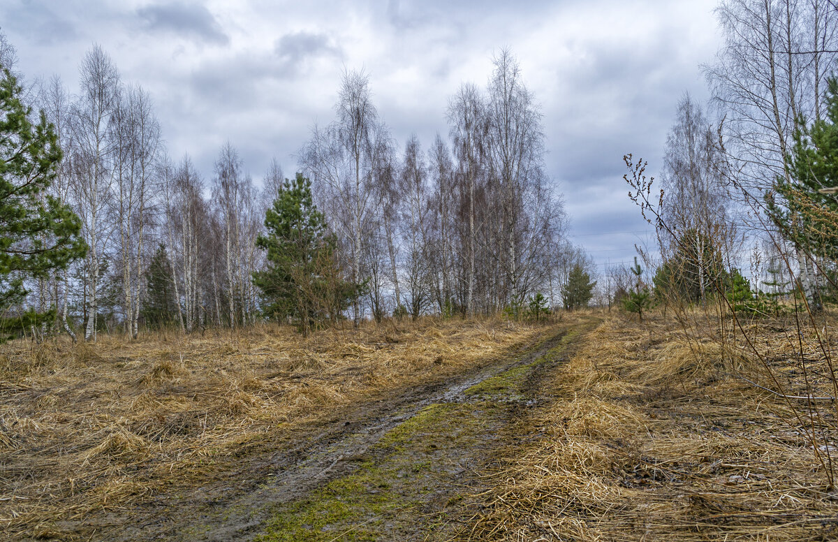 Весенними дорожками - Сергей Цветков Весенними дорожками - Сергей Цветков