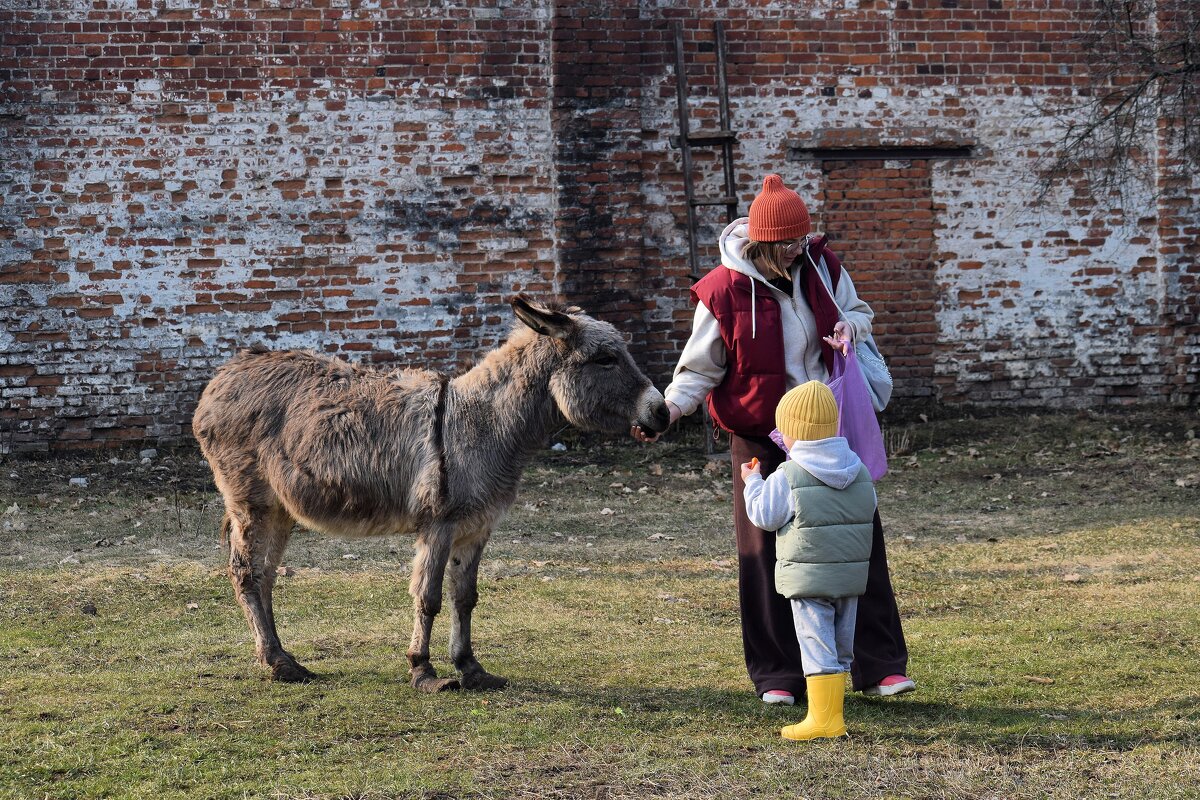 Надо делиться. - Татьяна Помогалова