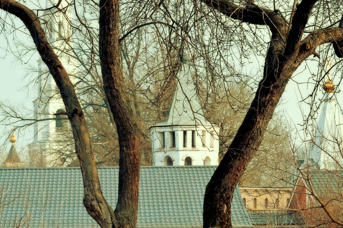 Вид на монастырь из подворья. - Татьяна Помогалова Вид на монастырь из подворья. - Татьяна Помогалова