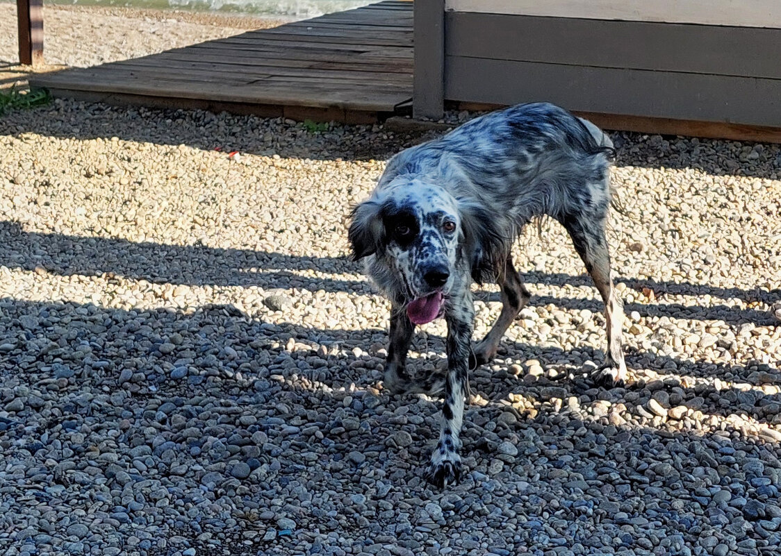 встреча на пляже - ИРЭН@ .