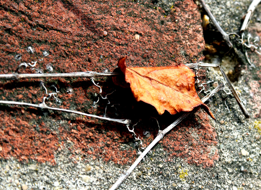 И жизнь закончилась - Ivan VIKAR И жизнь закончилась - Ivan VIKAR