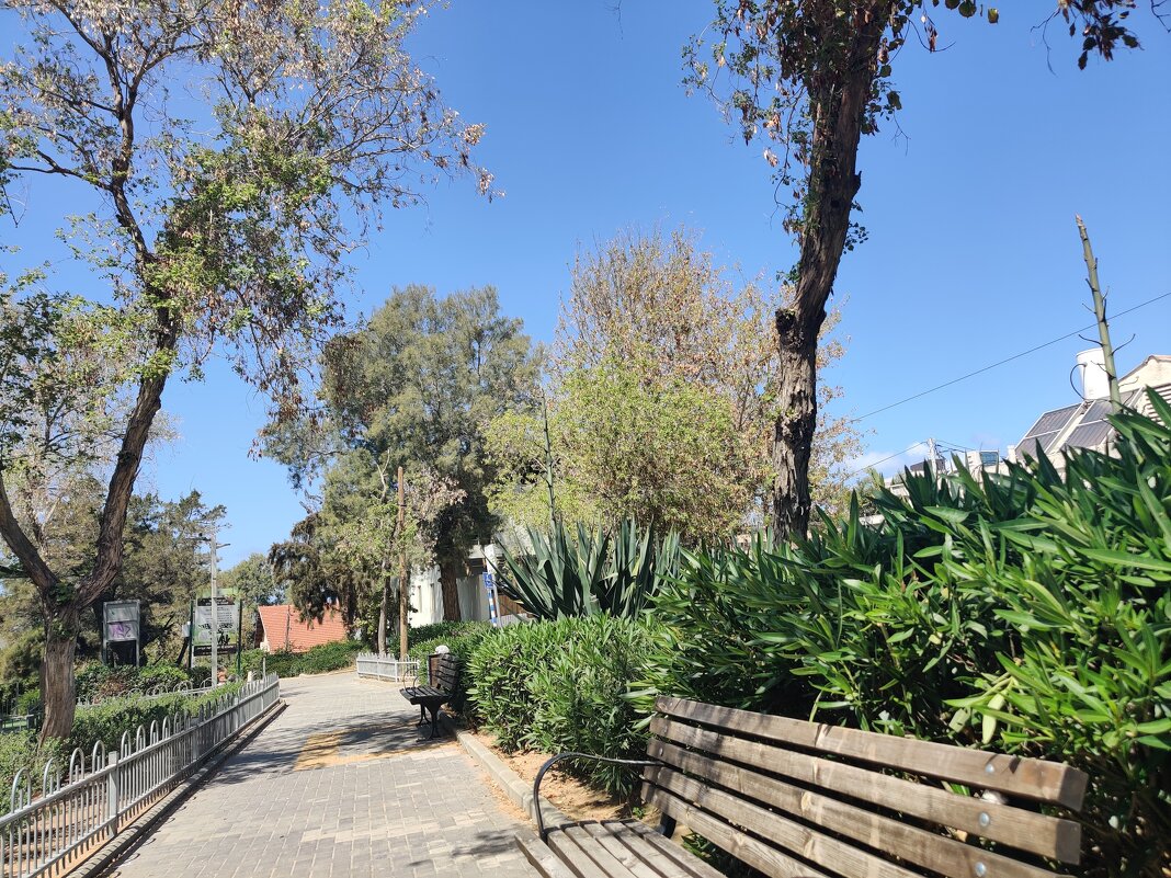 Утренняя прогулка - Светлана Хращевская