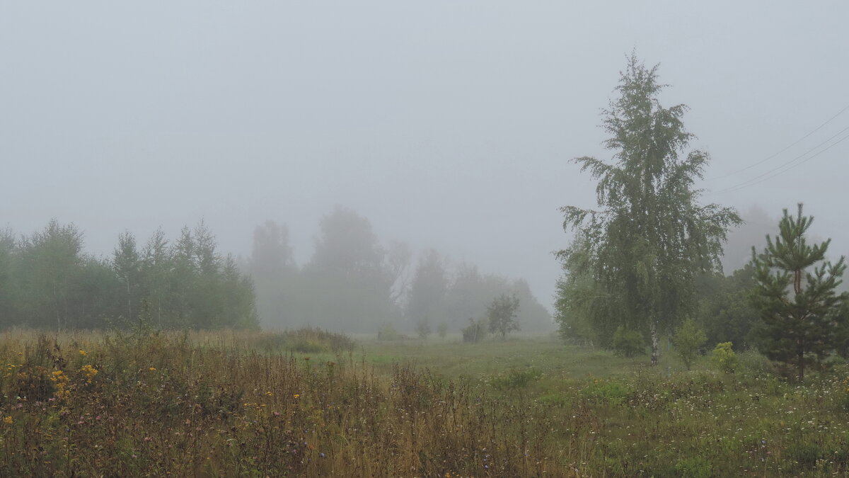 Туманное утро. - Татьяна Нефедьева. Туманное утро. - Татьяна Нефедьева.