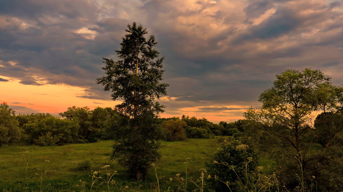 После заката. - Татьяна Нефедьева. После заката. - Татьяна Нефедьева.
