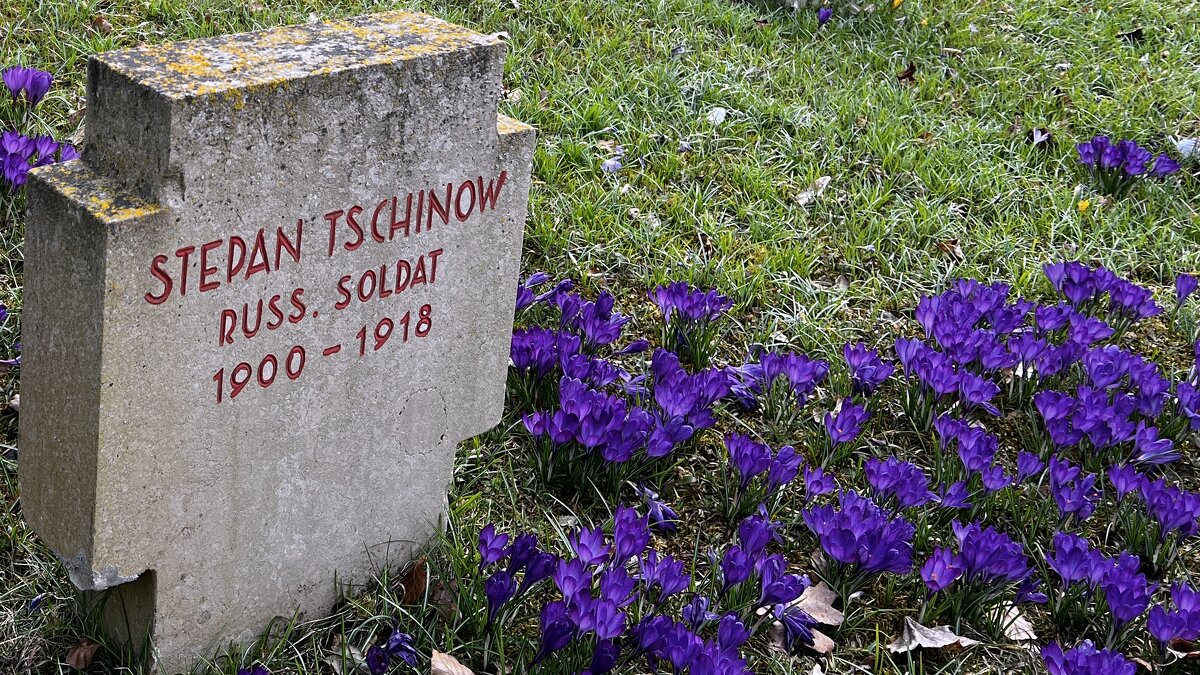 ... - "The Natural World" Александер ... - "The Natural World" Александер