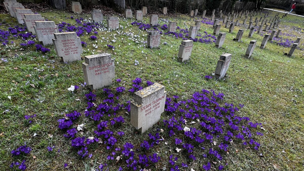 ... - "The Natural World" Александер