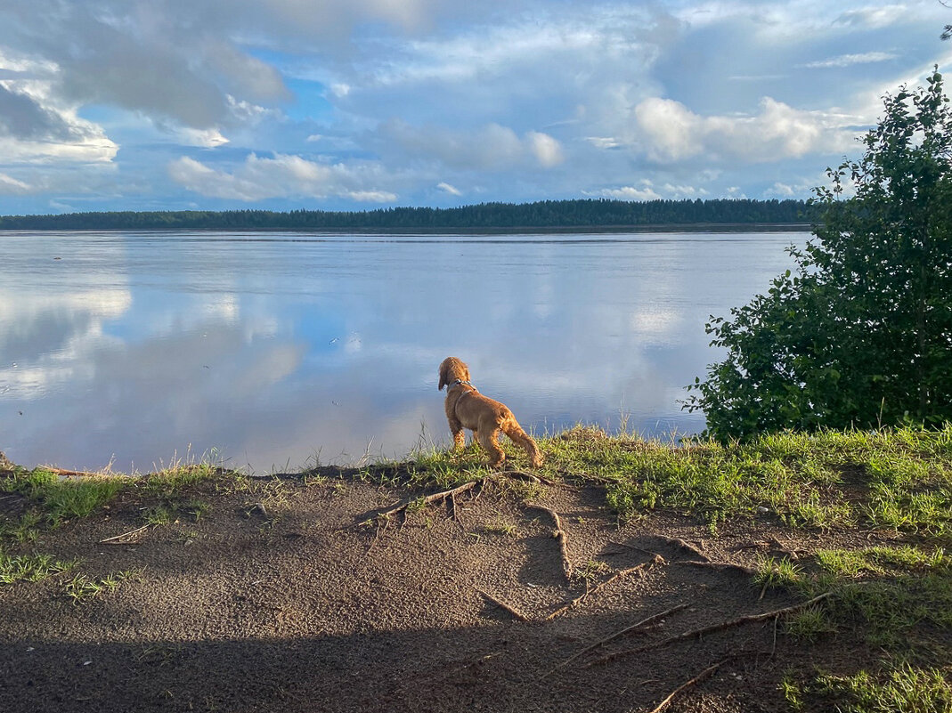 Река Онега и Рем. - Павел Харлин
