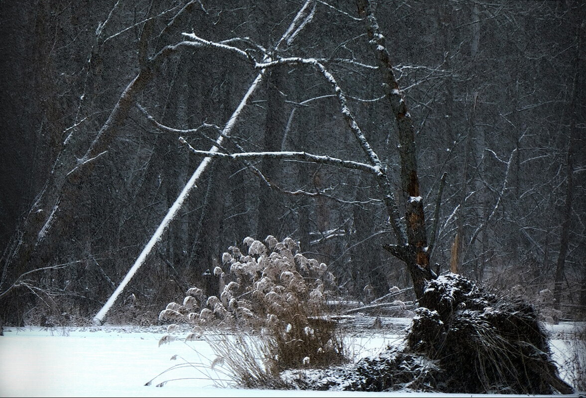 На оз. Тёмном ... - Владимир Шошин