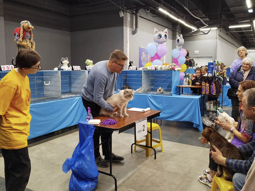 ГАГАРИНСКИЕ_КОШКИ_20 - Сергей Янович Микк ГАГАРИНСКИЕ_КОШКИ_20 - Сергей Янович Микк