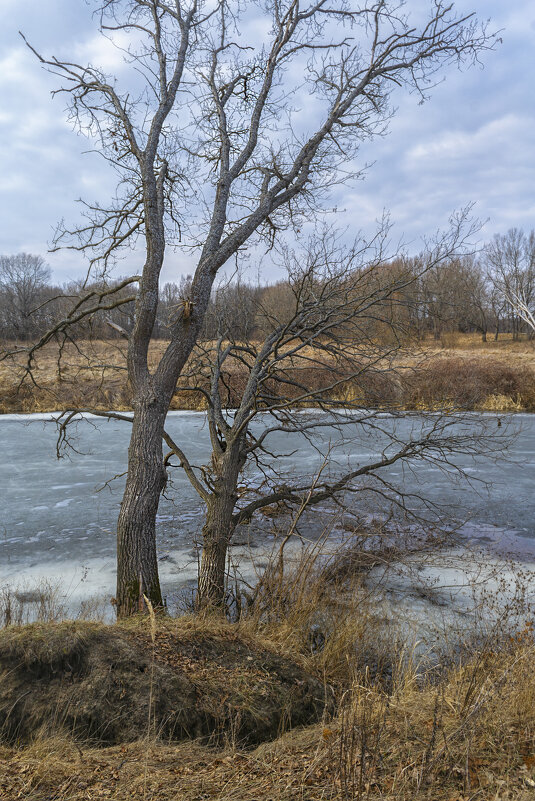 Не отрываться бы от земли - Сергей Цветков Не отрываться бы от земли - Сергей Цветков