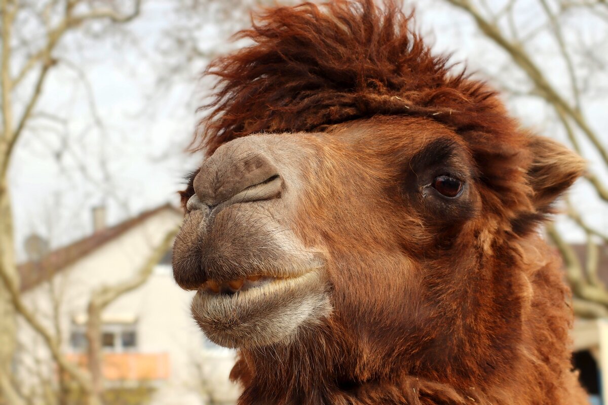 Могу и плюнуть... - Юрий. Шмаков