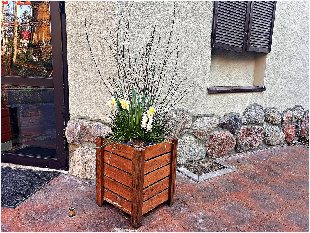 На улочках Светлогорска. - Валерия Комова