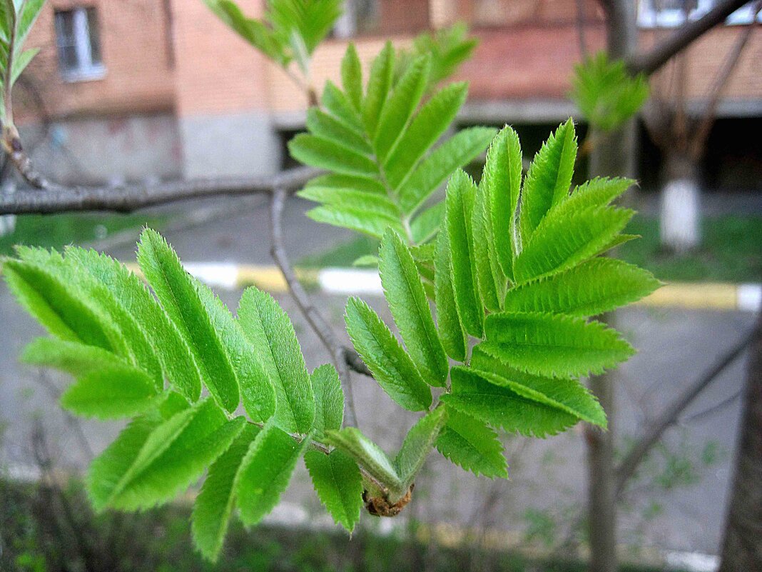 Скоро.. - Елена Семигина Скоро.. - Елена Семигина