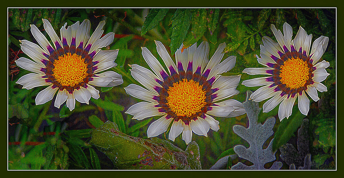 Фотозарисовка - Владимир Кроливец