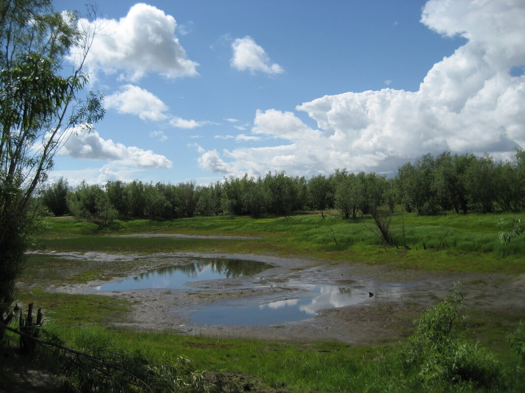 Лето - Anna Ivanova