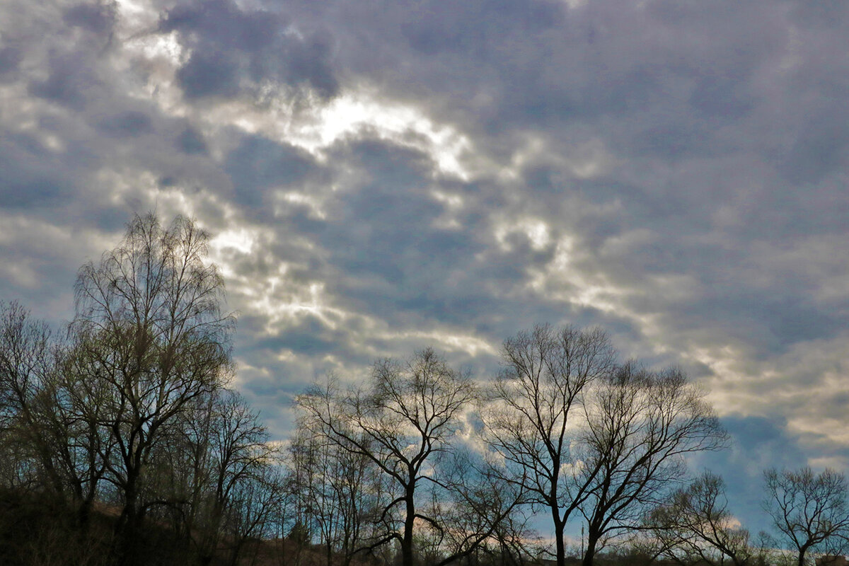 Мартовское небо - Светлана Мартовское небо - Светлана