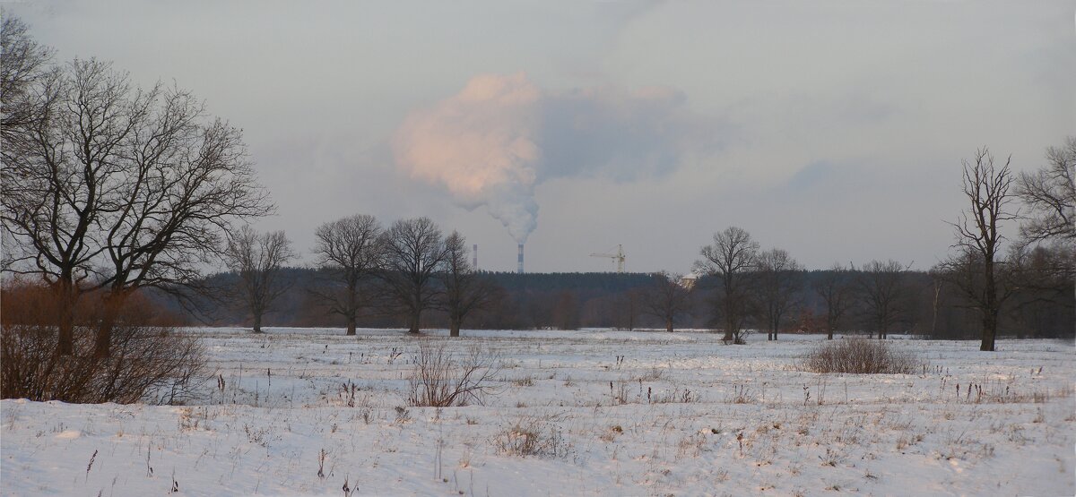 Зима - Николай ntv