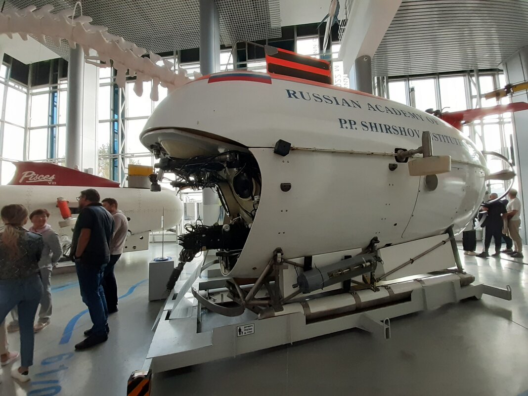 В музее Мирового океана - Галина Минчук В музее Мирового океана - Галина Минчук