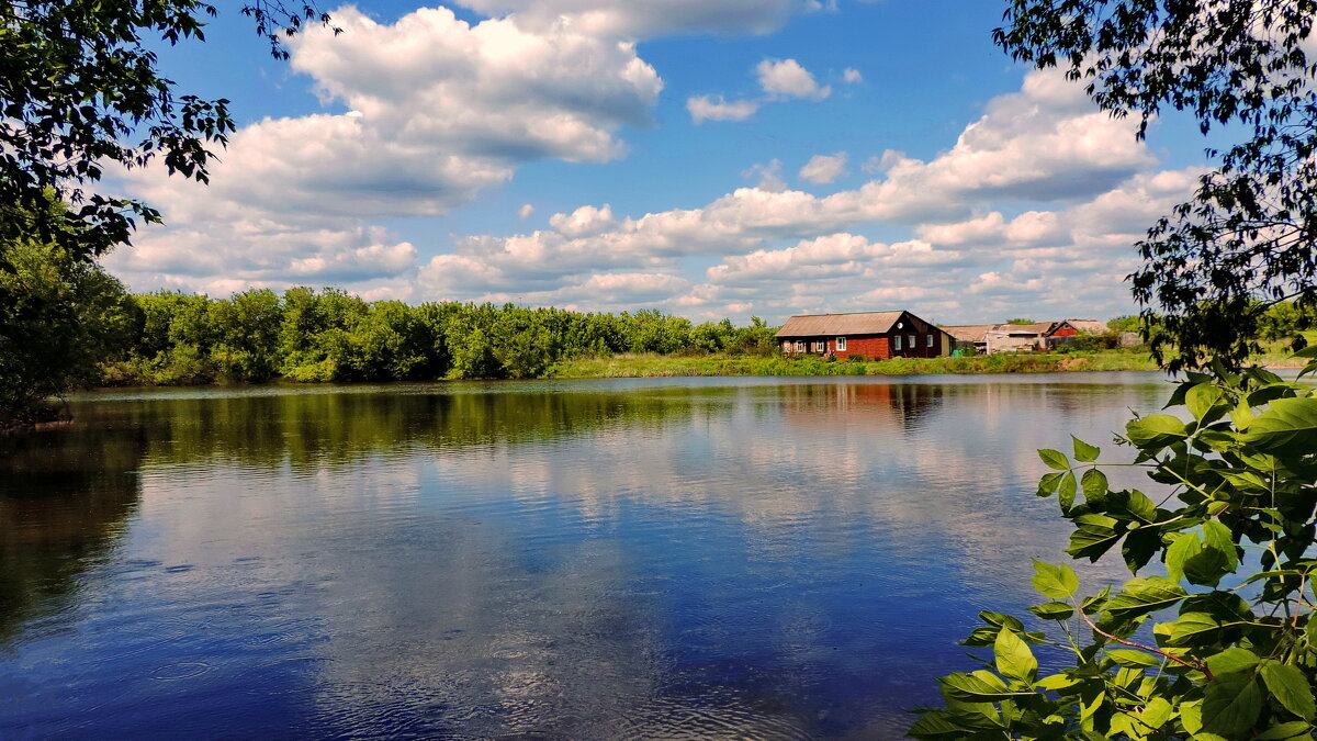 Пруд на краю посёлка. - Татьяна Нефедьева. Пруд на краю посёлка. - Татьяна Нефедьева.