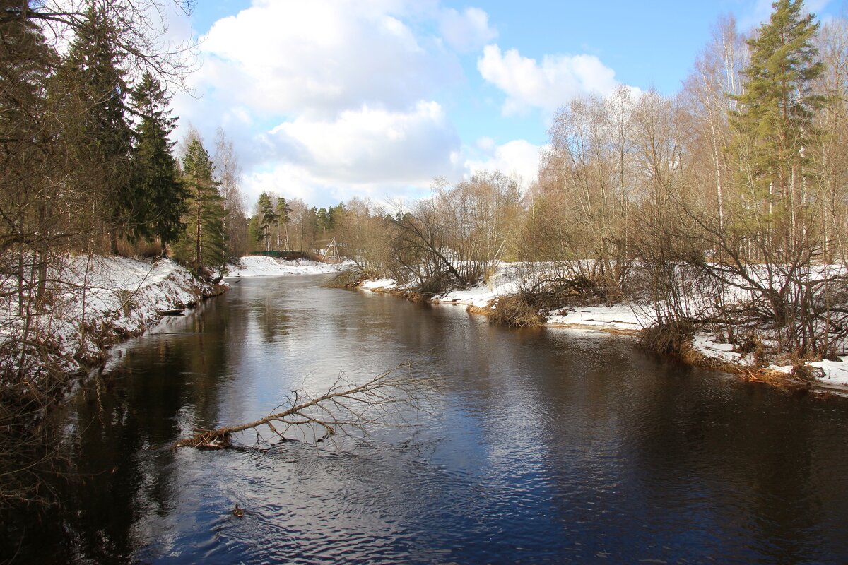 Оредеж - Наталья Герасимова