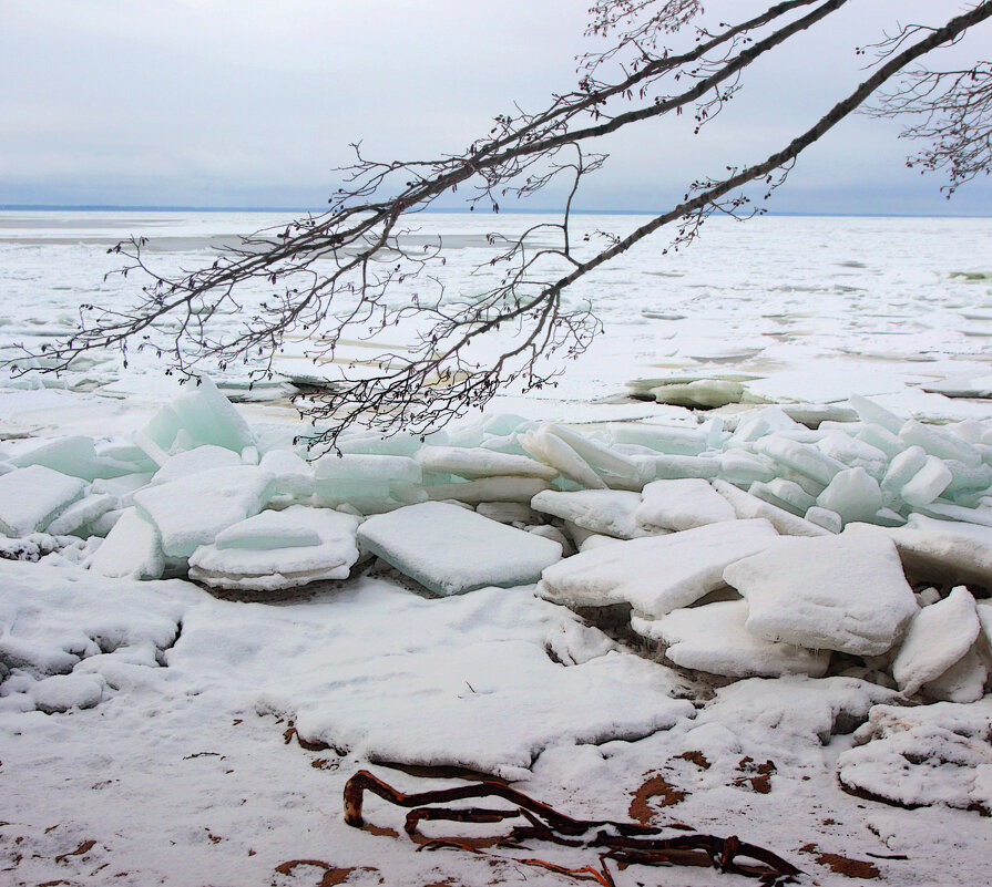 *** - Сергей Григорьев