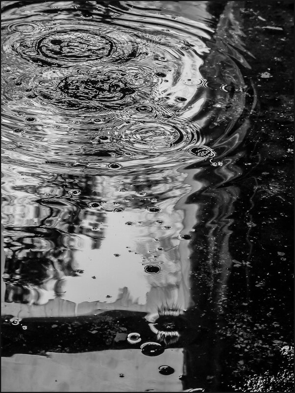 лужа - Наталья Rosenwasser