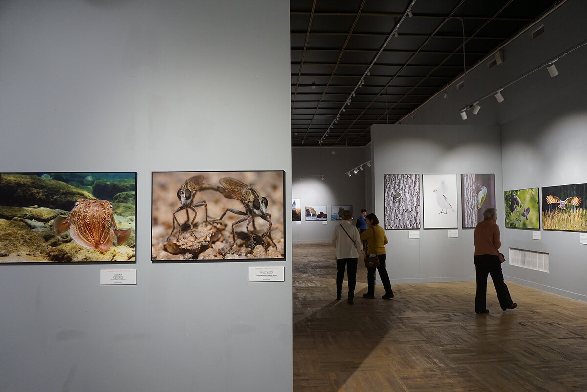 Фестиваль природы "Первозданная Россия" - Ольга Фестиваль природы "Первозданная Россия" - Ольга