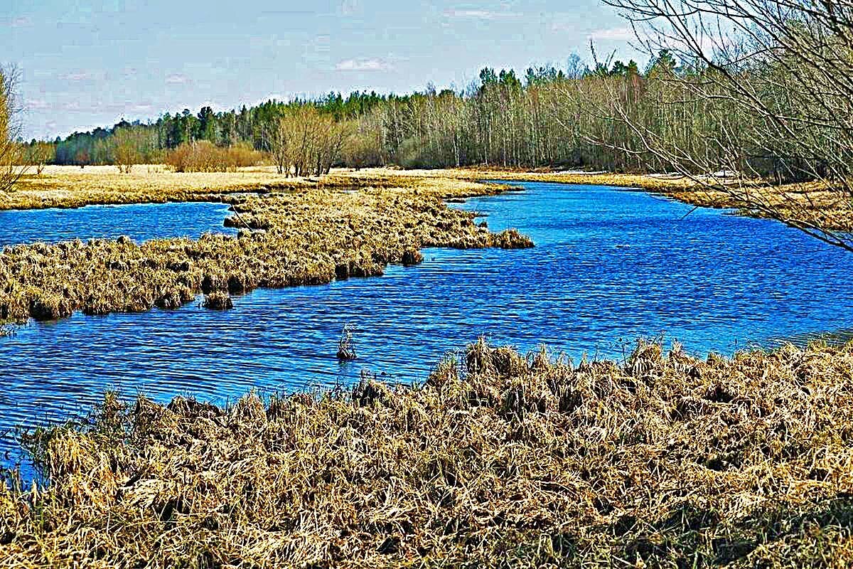 Май...Протока Сырой Аган оживает! - Владимир 