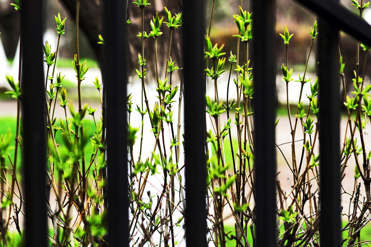 Цветовой контраст - Юрий Гайворонскiий Цветовой контраст - Юрий Гайворонскiий