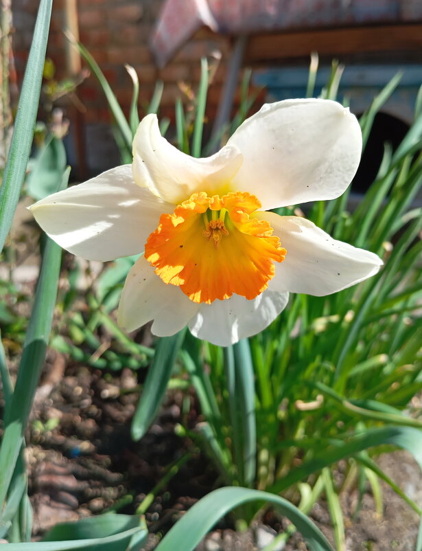 Весне дорогу... - Константин Штарк