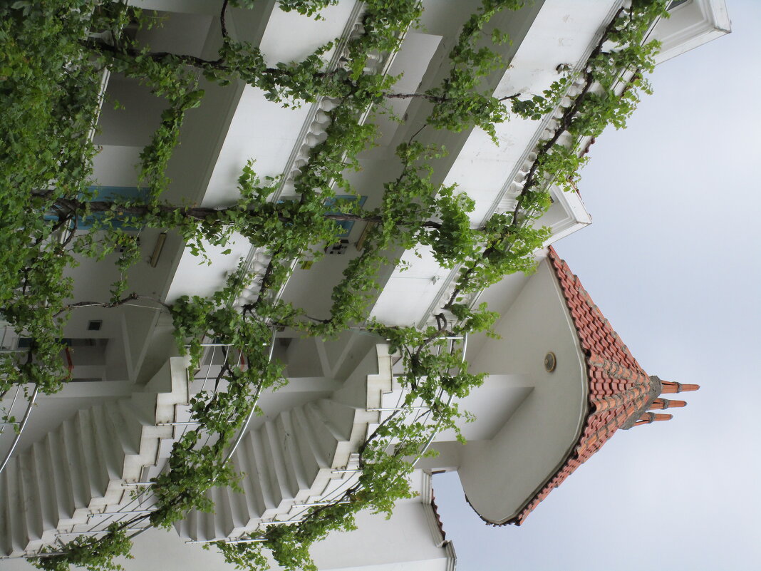 Мармарис Турция - Елена Шаламова