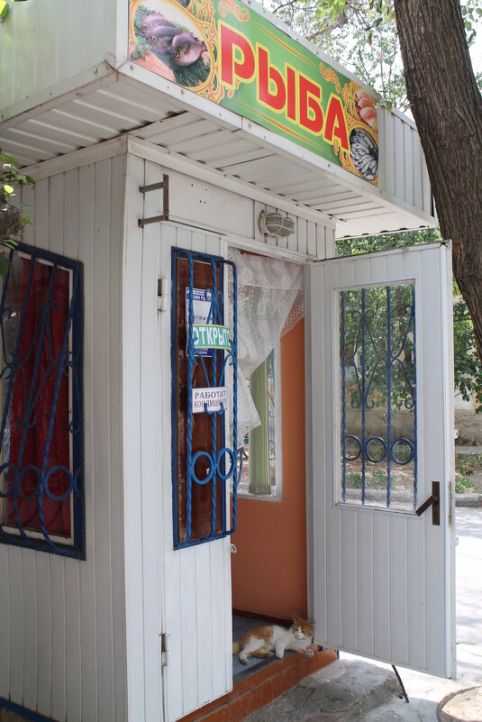 Четвероногий рыбнадзор - Олег Зоркий Четвероногий рыбнадзор - Олег Зоркий