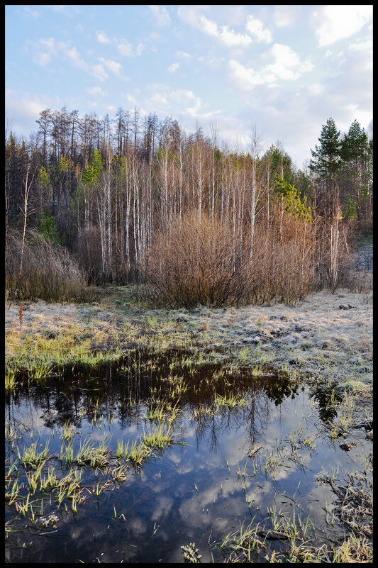 Апрель - **** vedin