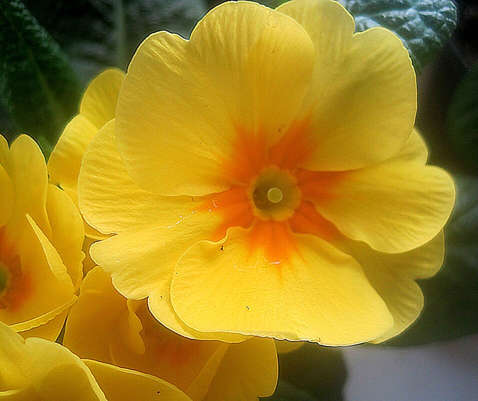 Солнечная - Елена Семигина Солнечная - Елена Семигина