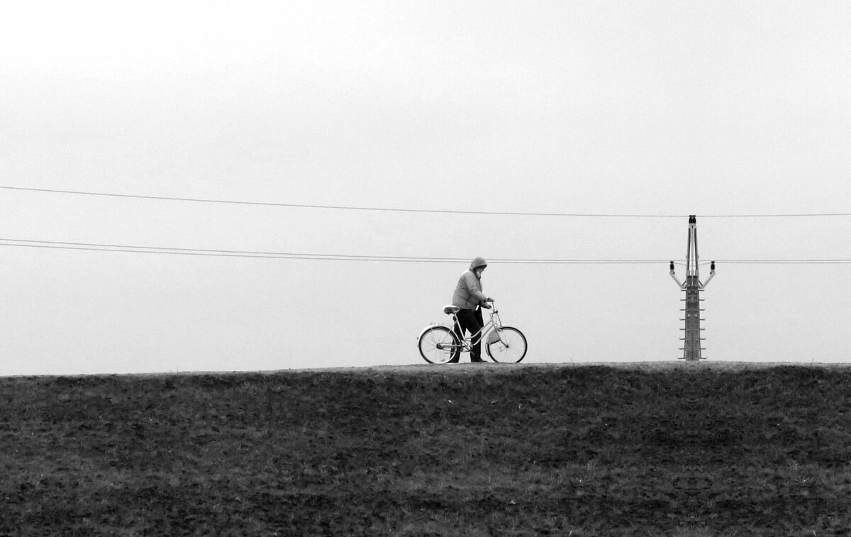 Электромобильность - Ivan VIKAR