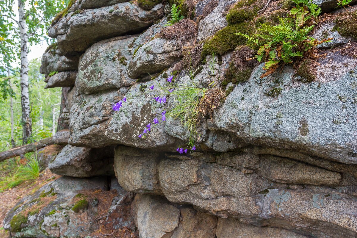 Скалы на вершине горы Заозерная. - Алексей Трухин Скалы на вершине горы Заозерная. - Алексей Трухин