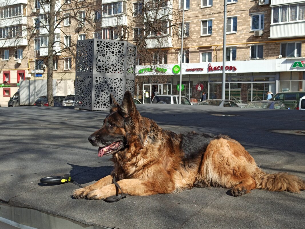 Перекур после тренировки - ИриШка Перекур после тренировки - ИриШка